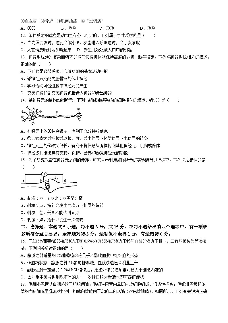 内蒙古名校联盟2024-2025学年高二上学期10月大联考生物试题第3页