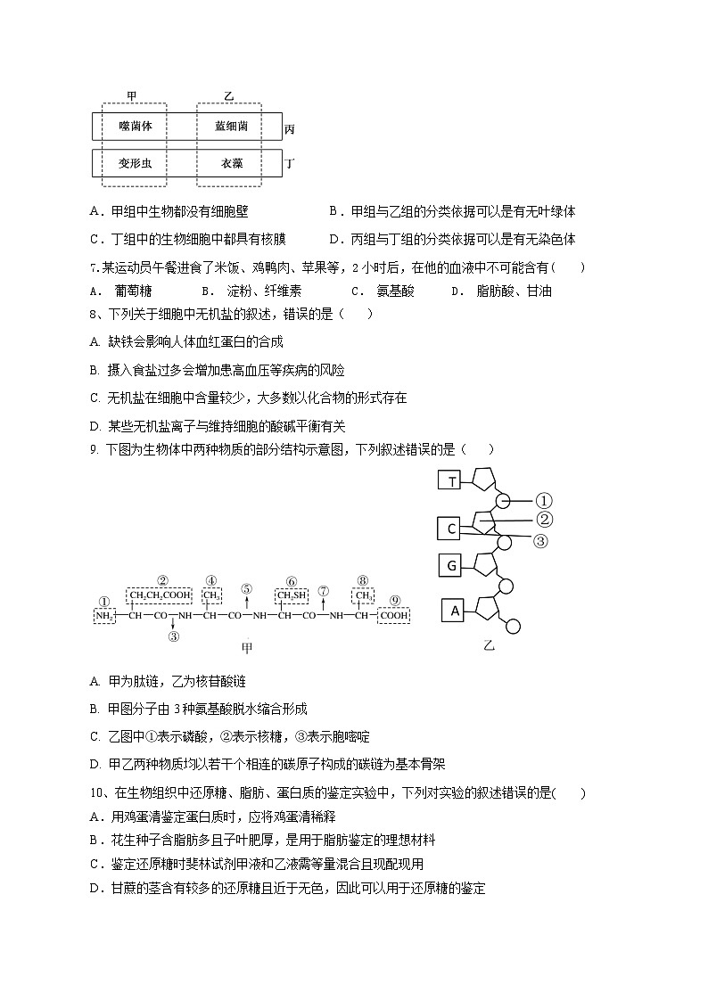 侨光中学2024年秋季高一年第1次阶段考生物试卷第2页