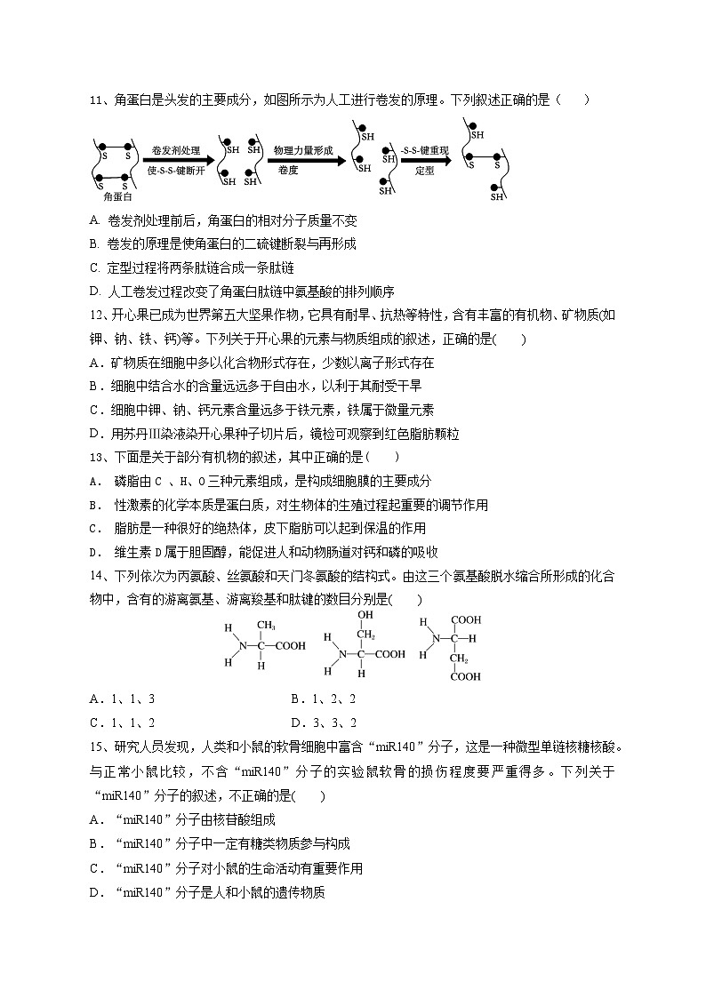 侨光中学2024年秋季高一年第1次阶段考生物试卷第3页