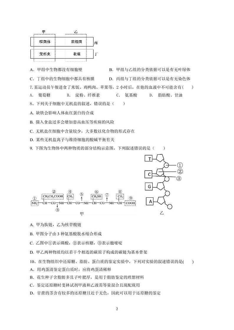 侨光中学2024年秋季高一年第1次阶段考生物试卷第2页