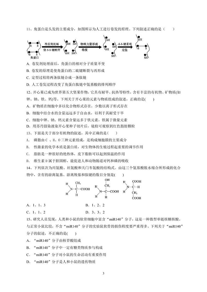 侨光中学2024年秋季高一年第1次阶段考生物试卷第3页