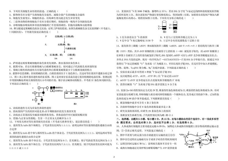 黑龙江省哈尔滨师范大学附属中学2024-2025学年高三上学期10月月考 生物第2页