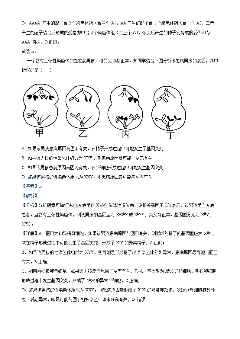 湖北省华中师范大学第一附属中学2023～2024 学年高二上学期期中生物试题 Word版含解析第3页