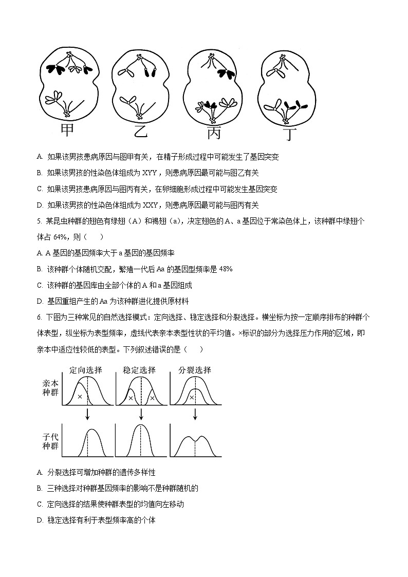 湖北省华中师范大学第一附属中学2023～2024 学年高二上学期期中生物试题 Word版无答案第2页