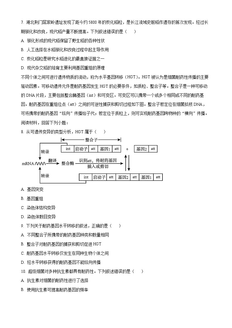 湖北省华中师范大学第一附属中学2023～2024 学年高二上学期期中生物试题 Word版无答案第3页