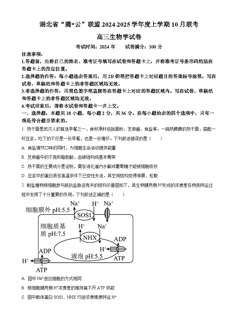 湖北省腾云联盟2025届高三上学期10月联考（一模）生物试题（Word版附解析）01