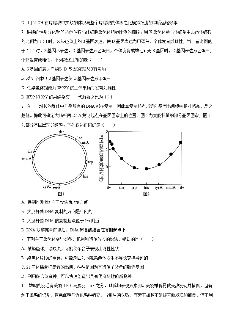湖北省腾云联盟2025届高三上学期10月联考（一模）生物试题（Word版附解析）03
