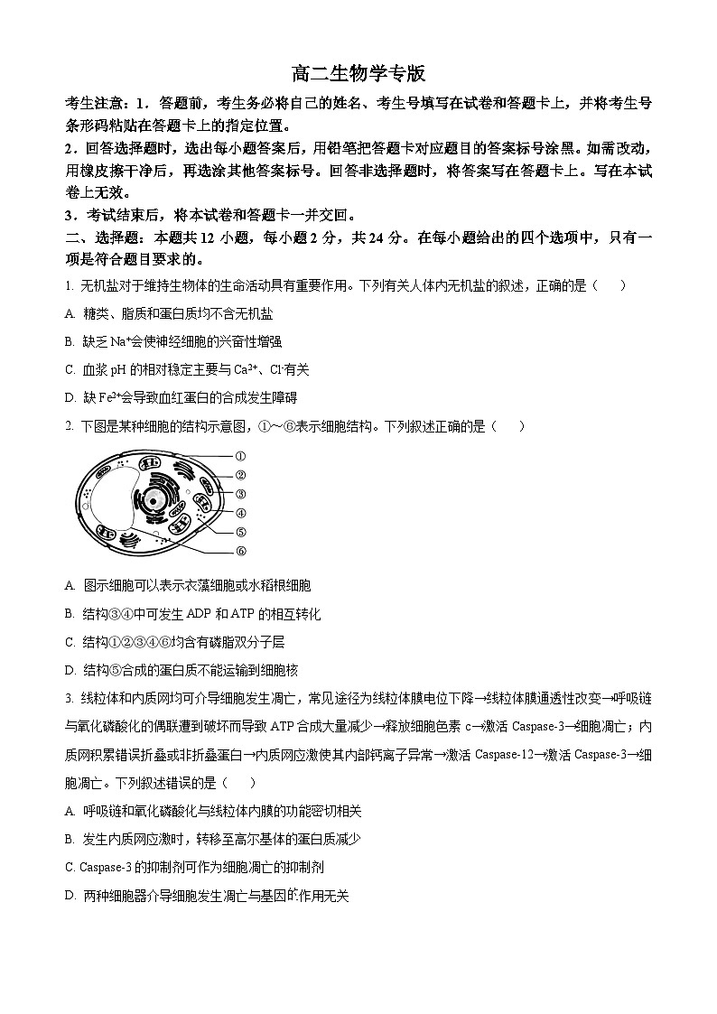 湖南省名校2024-2025学年高二上学期10月联考生物试题 Word版含答案第1页