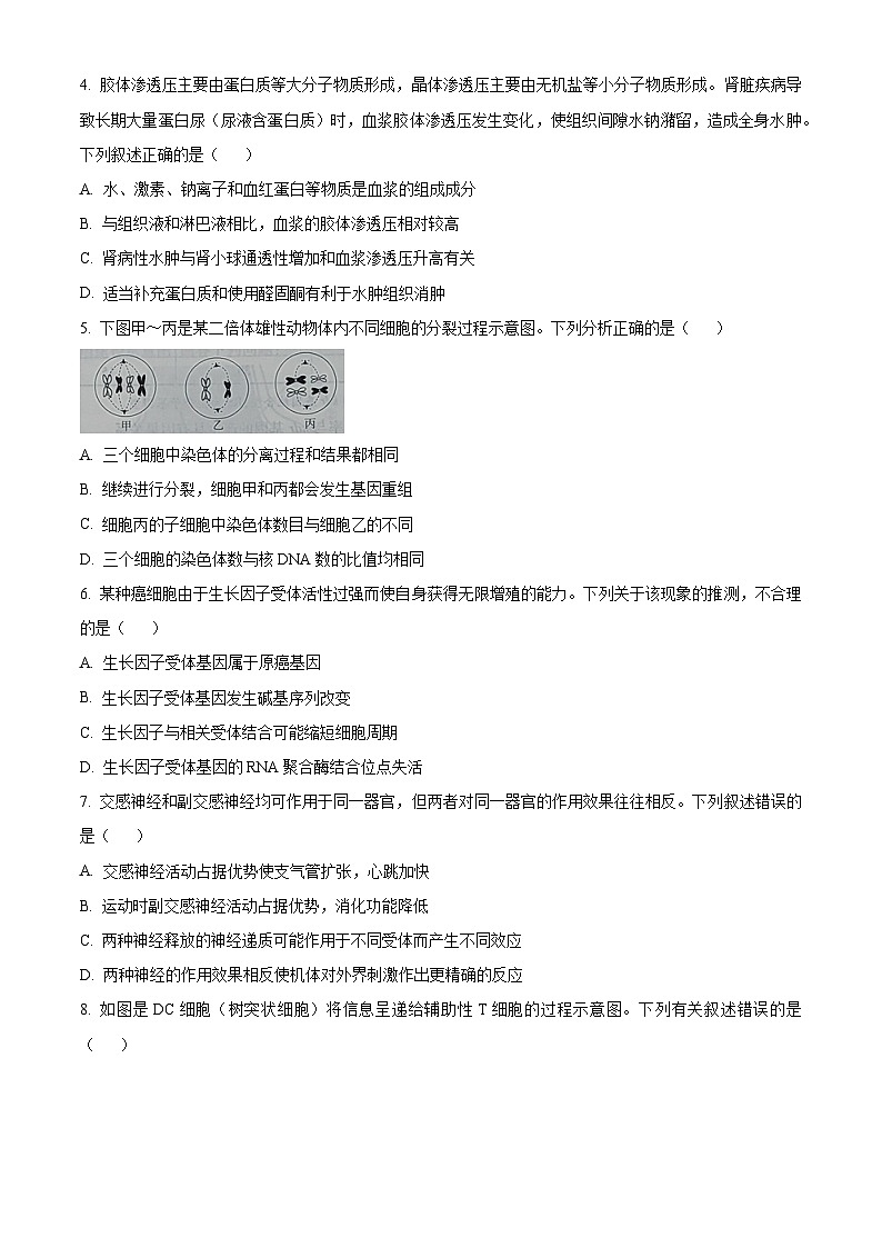湖南省名校2024-2025学年高二上学期10月联考生物试题 Word版含答案第2页