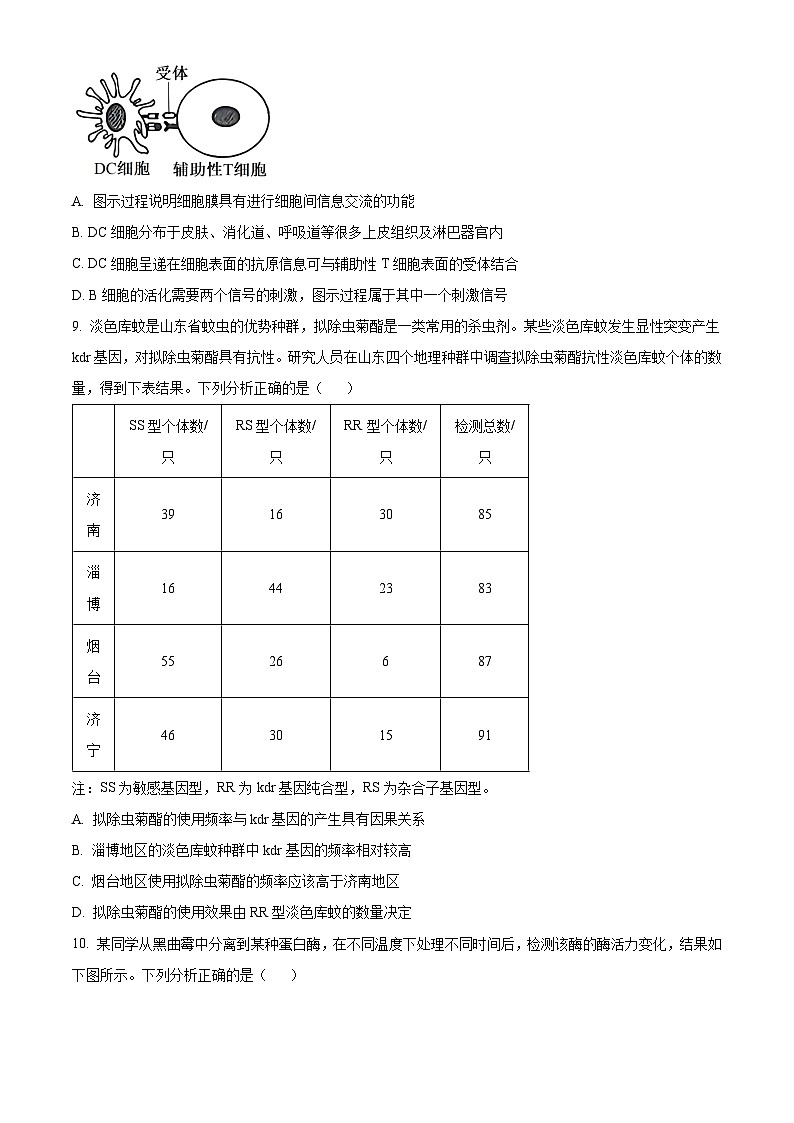 湖南省名校2024-2025学年高二上学期10月联考生物试题 Word版含答案第3页