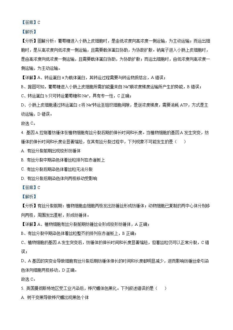 湖南省名校联考联合体2024-2025学年高二上学期10月月考生物试题 Word版含解析第3页