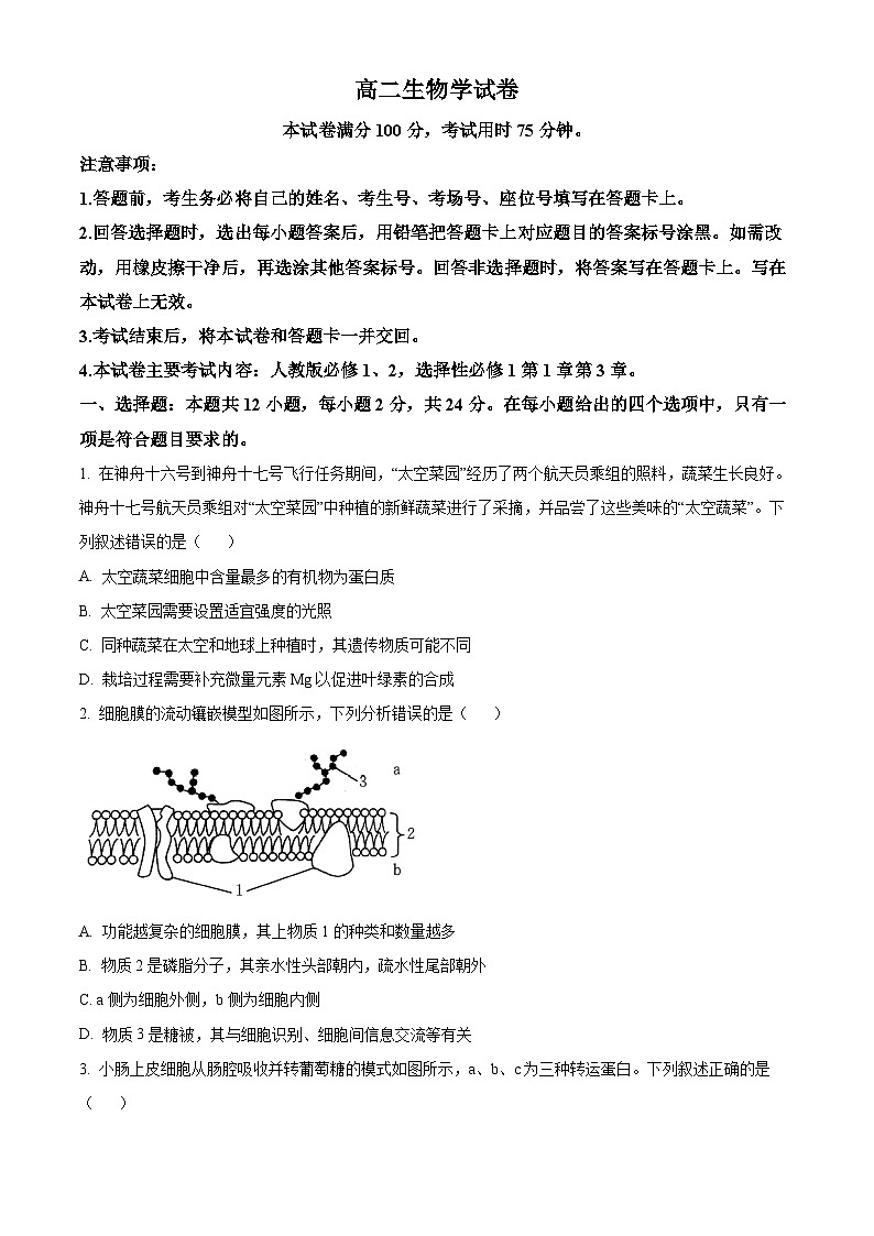 湖南省名校联考联合体2024-2025学年高二上学期10月月考生物试题 Word版无答案第1页