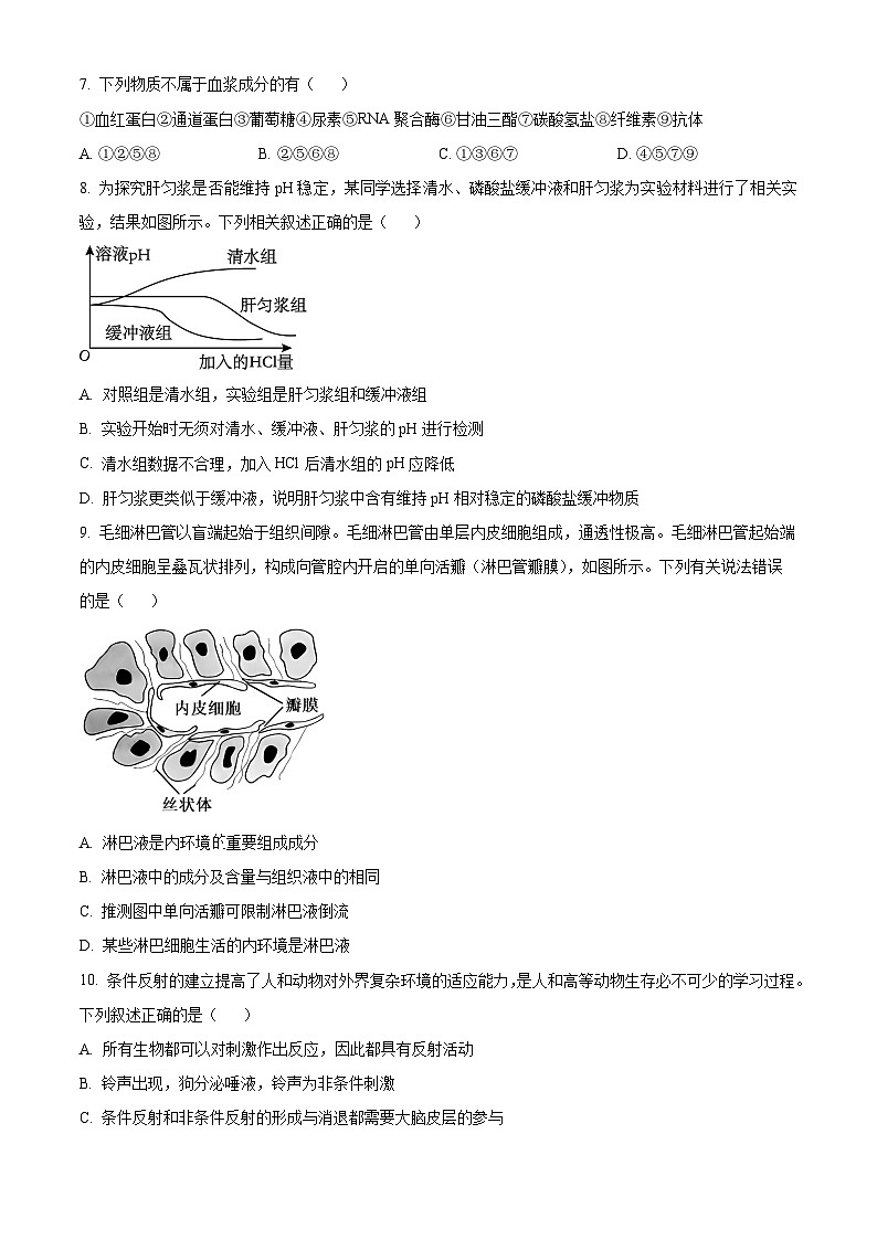 湖南省名校联考联合体2024-2025学年高二上学期10月月考生物试题 Word版无答案第3页