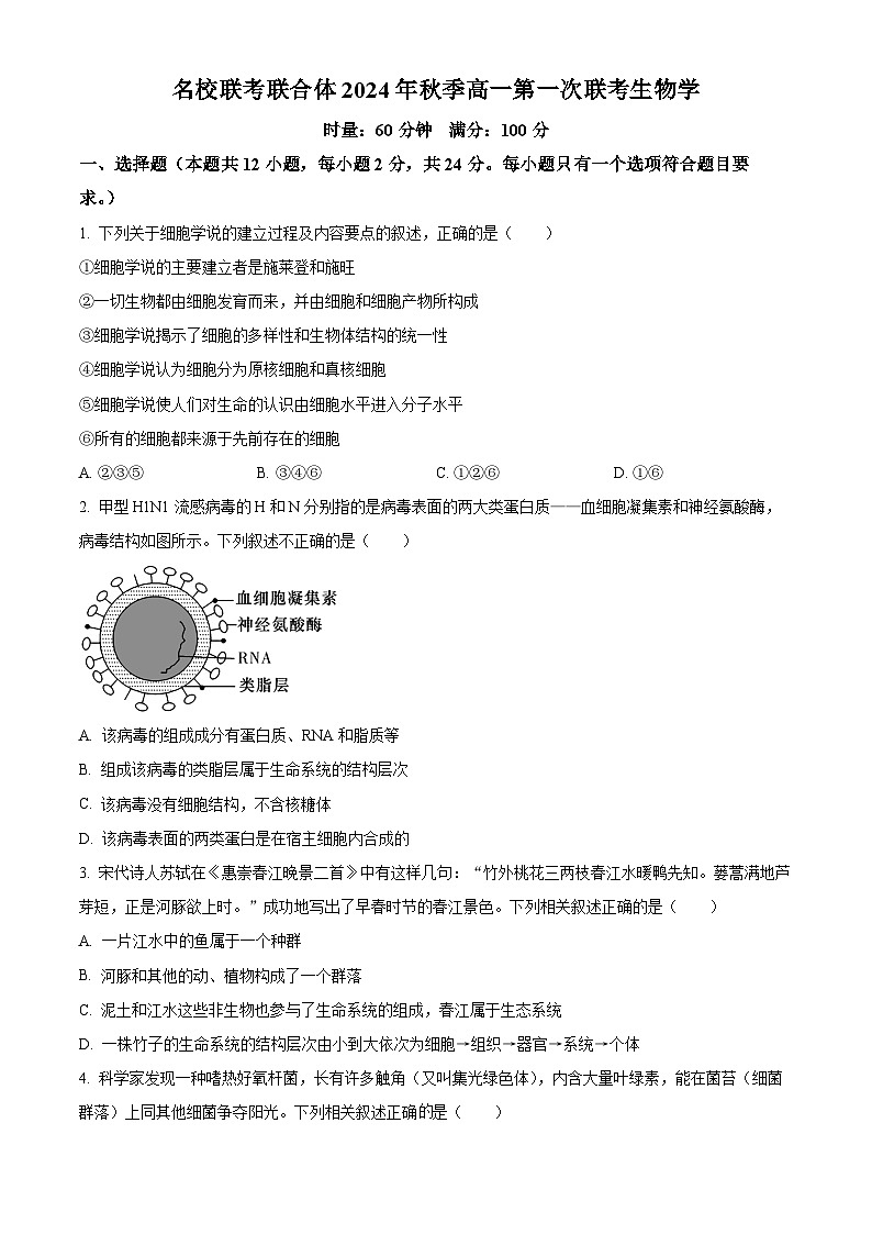 湖南省名校联考联合体2024-2025学年高一上学期第一次联考生物试题（Word版附解析）01