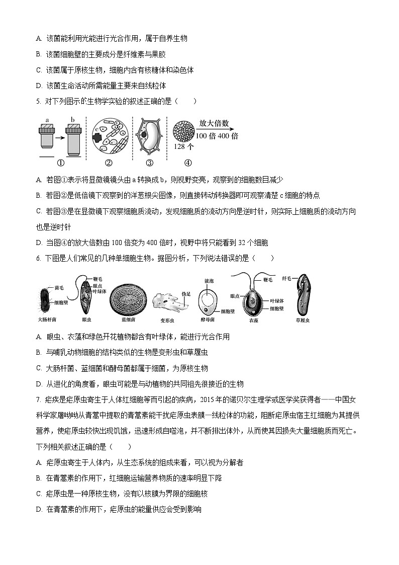 湖南省名校联考联合体2024-2025学年高一上学期第一次联考生物试题（Word版附解析）02
