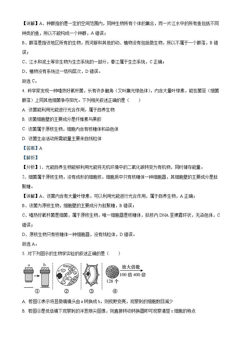 湖南省名校联考联合体2024-2025学年高一上学期第一次联考生物试题（Word版附解析）03