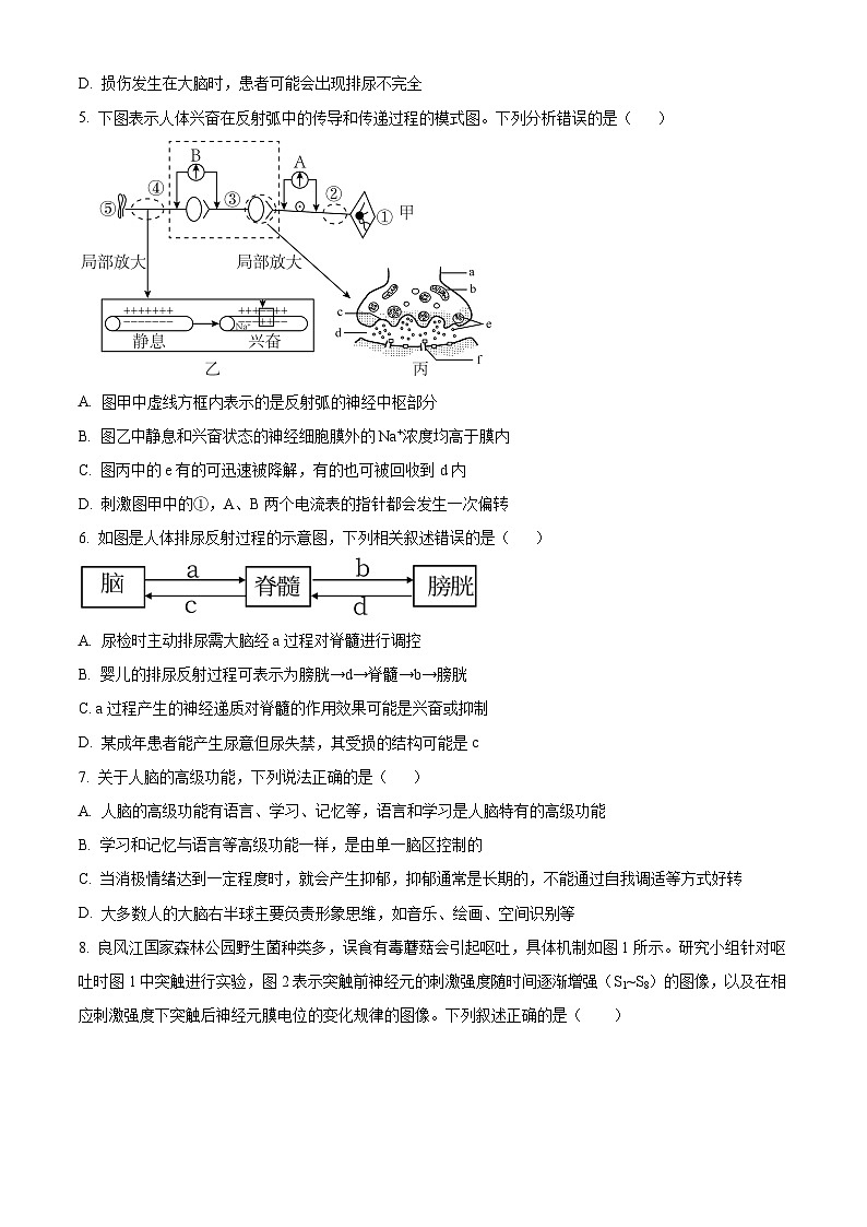 湖南省长沙市麓山国际中学2024-2025学年高二上学期第一次月考生物试题（Word版附解析）02