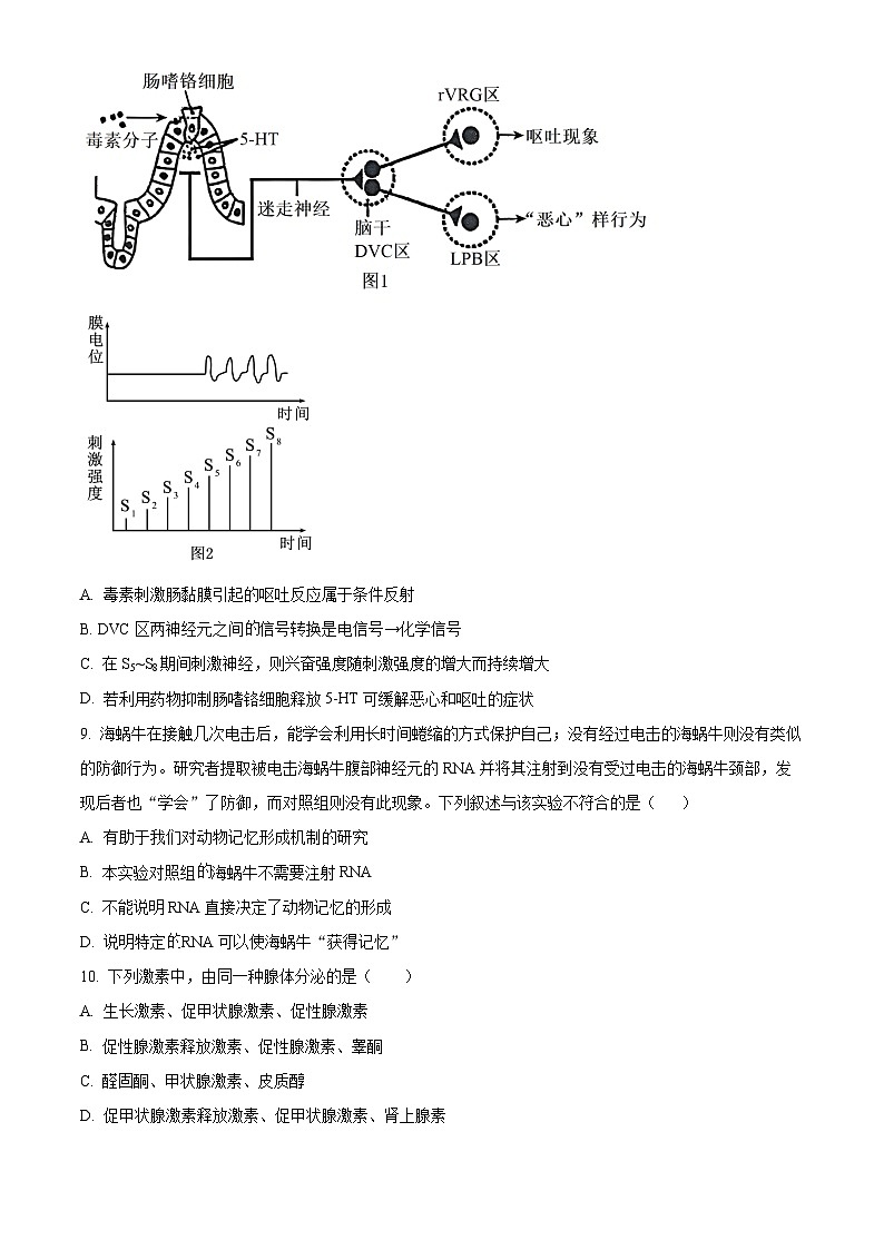 湖南省长沙市麓山国际中学2024-2025学年高二上学期第一次月考生物试题（Word版附解析）03