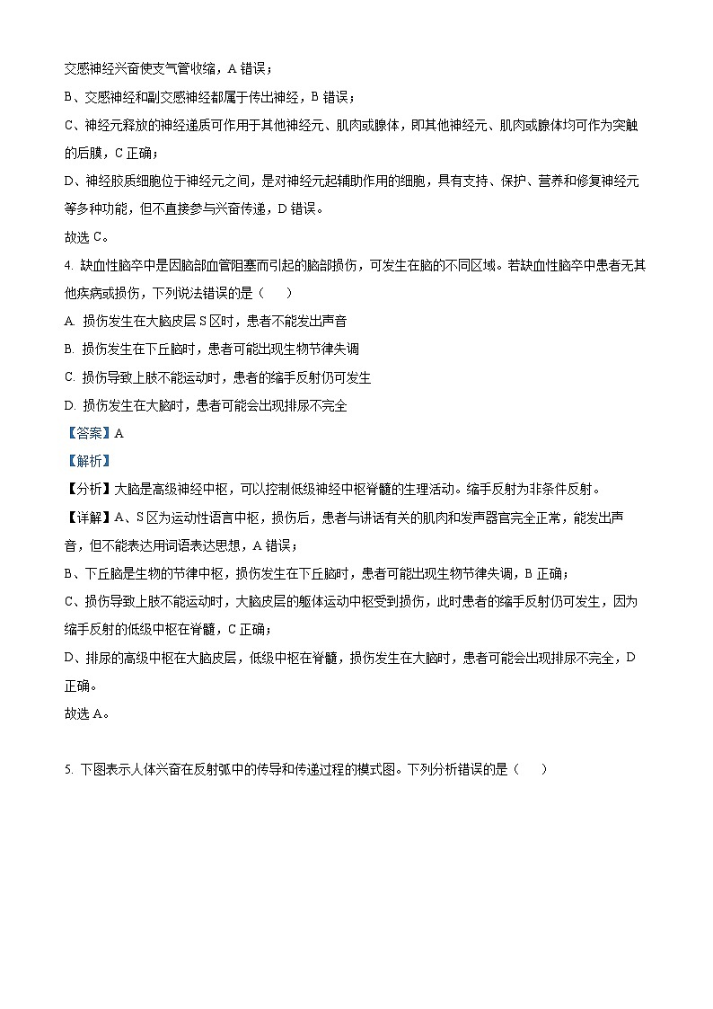 湖南省长沙市麓山国际中学2024-2025学年高二上学期第一次月考生物试题（Word版附解析）03