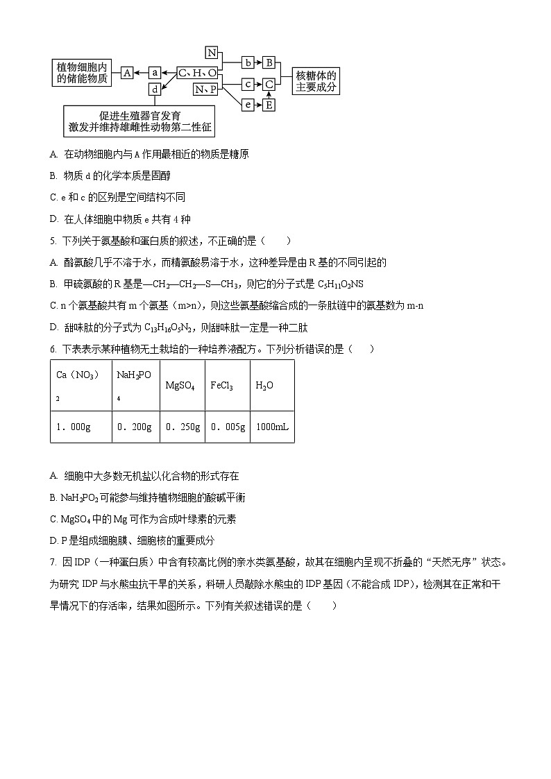 湖南省长沙市师大附中2023-2024学年高一上学期期中考试生物试题（Word版附解析）02