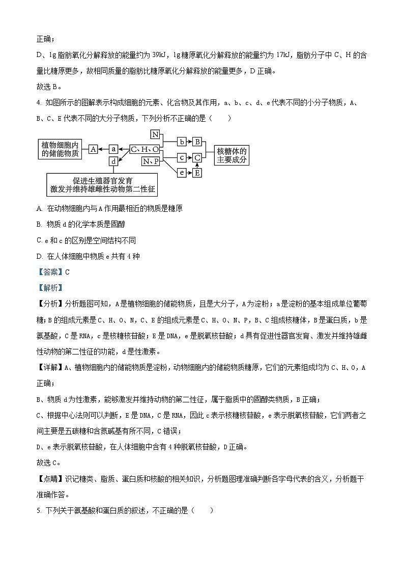 湖南省长沙市师大附中2023-2024学年高一上学期期中考试生物试题（Word版附解析）03