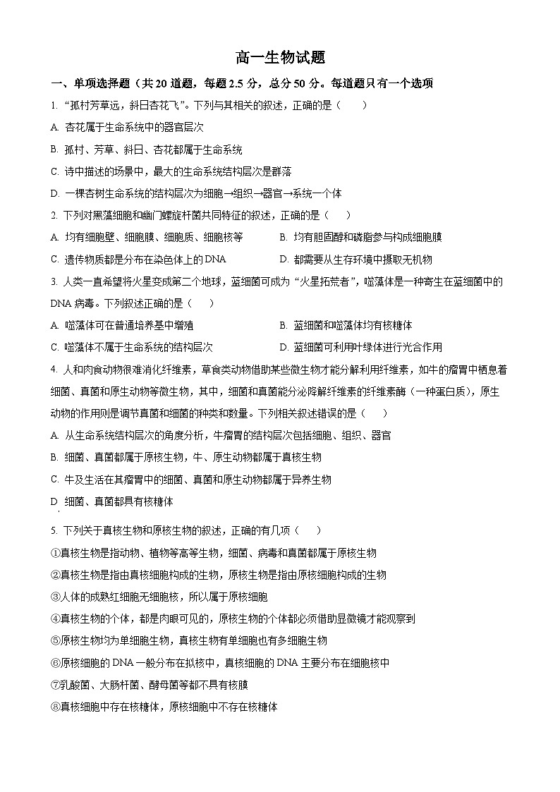 湖南省长沙市雅礼中学2024-2025学年高一上学期第一次月考生物试题（Word版附解析）01
