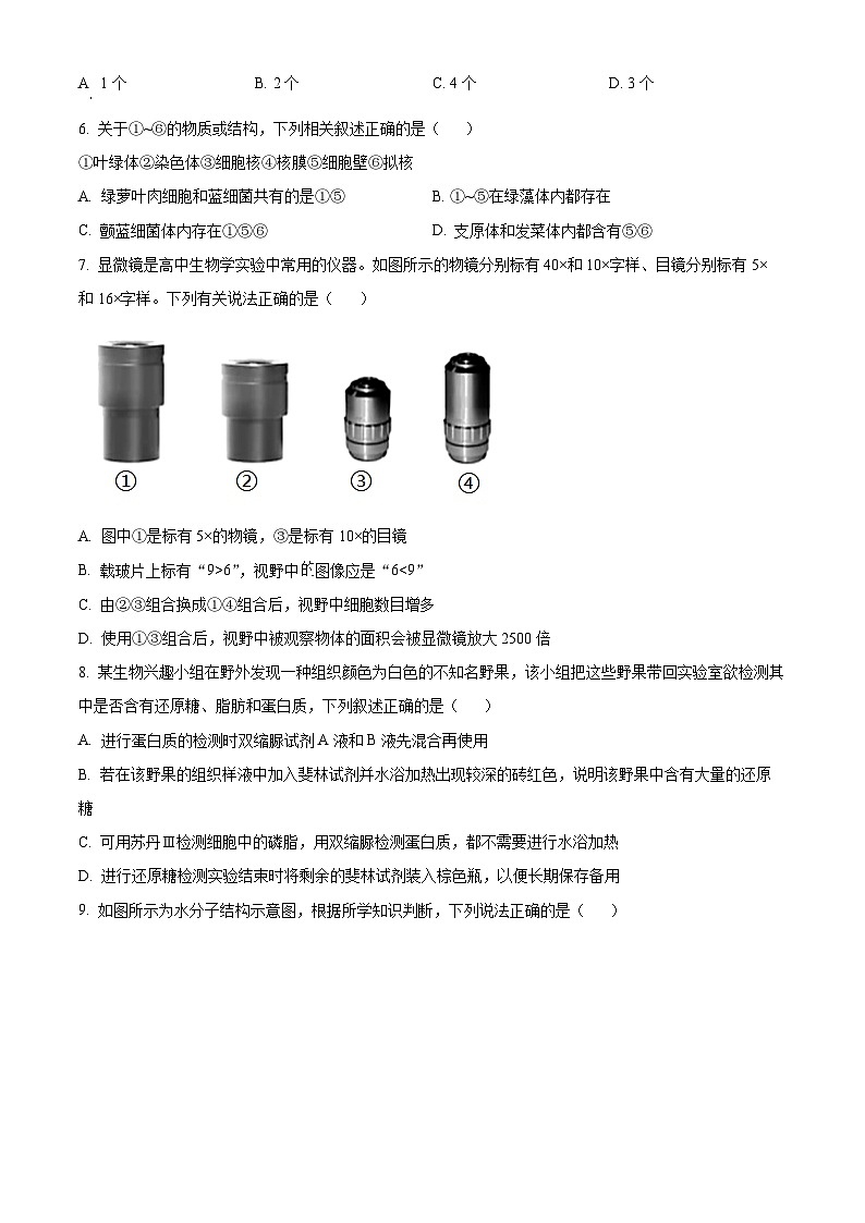 湖南省长沙市雅礼中学2024-2025学年高一上学期第一次月考生物试题（Word版附解析）02