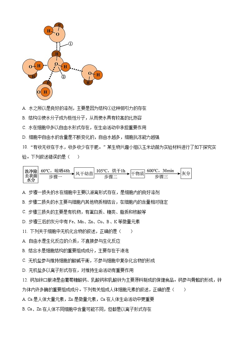 湖南省长沙市雅礼中学2024-2025学年高一上学期第一次月考生物试题（Word版附解析）03