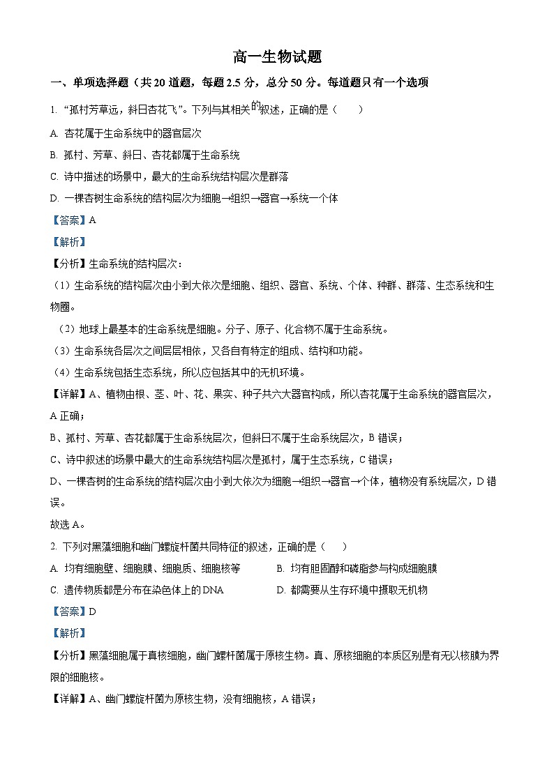 湖南省长沙市雅礼中学2024-2025学年高一上学期第一次月考生物试题（Word版附解析）01