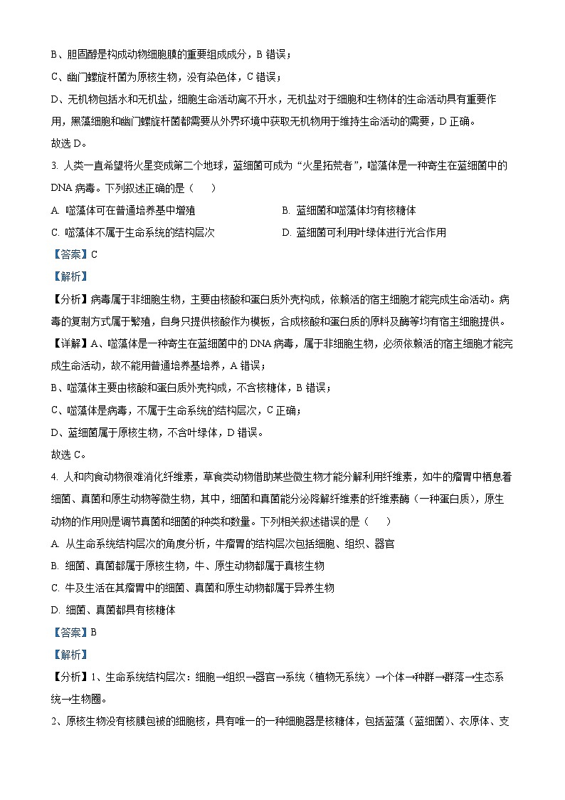 湖南省长沙市雅礼中学2024-2025学年高一上学期第一次月考生物试题（Word版附解析）02