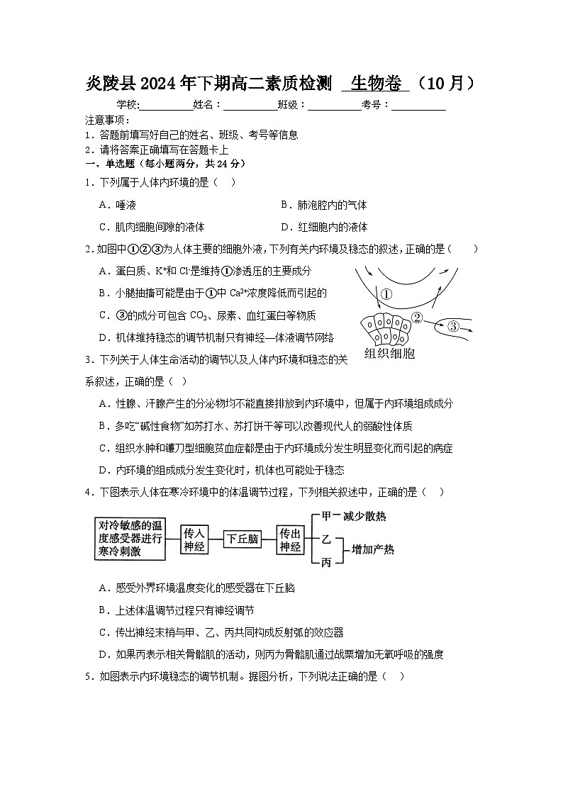 湖南省株洲市炎陵县2024-2025学年高二上学期10月素质检测生物试题第1页