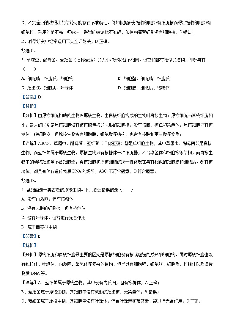 湖北省荆州市沙市中学2024-2025学年高一上学期10月月考生物试题（Word版附解析）02