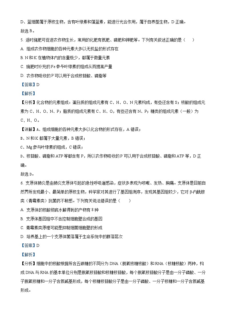 湖北省荆州市沙市中学2024-2025学年高一上学期10月月考生物试题（Word版附解析）03
