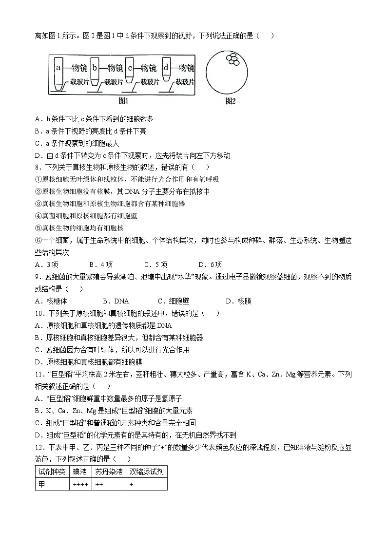 贵州省贵州大学附属中学2024—2025学年高一上学期10月考试生物试题(无答案)第2页