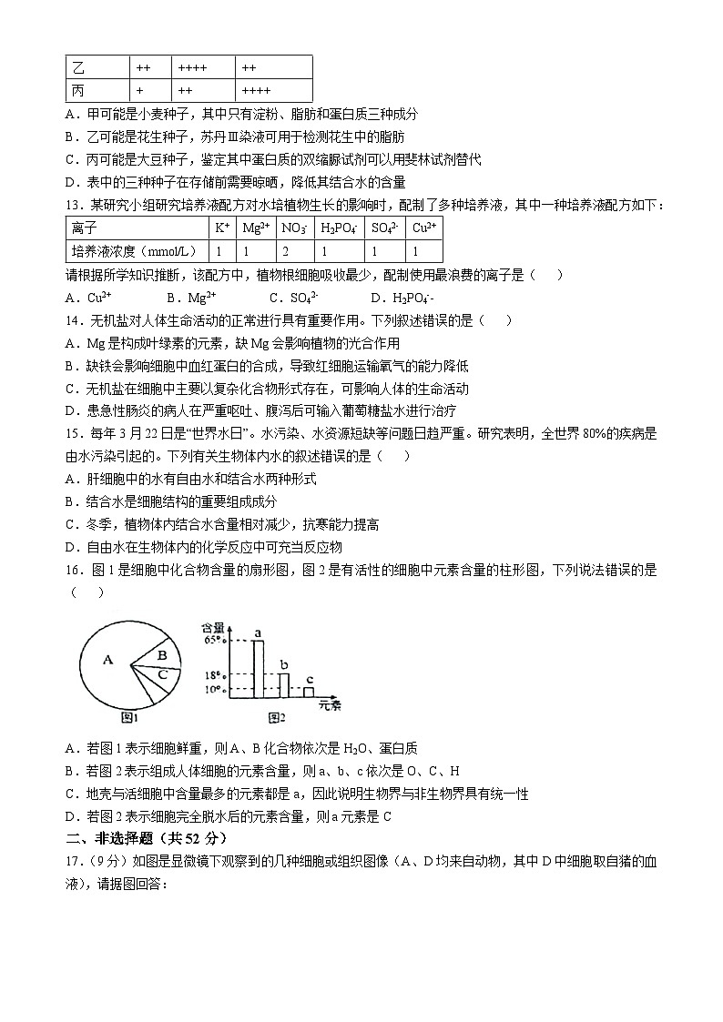 贵州省贵州大学附属中学2024—2025学年高一上学期10月考试生物试题(无答案)第3页
