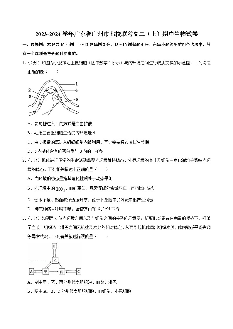 广东省广州市七校联考2023-2024学年高二上学期期中考试生物试卷01