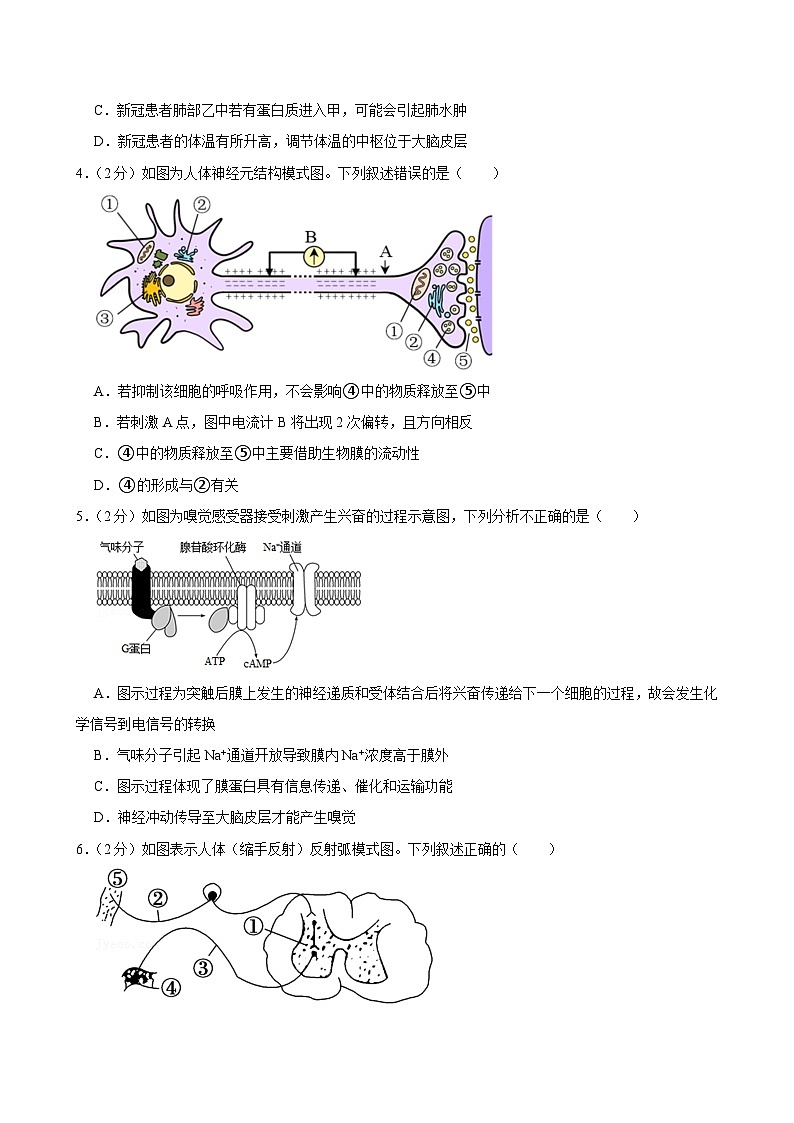 广东省广州市七校联考2023-2024学年高二上学期期中考试生物试卷02