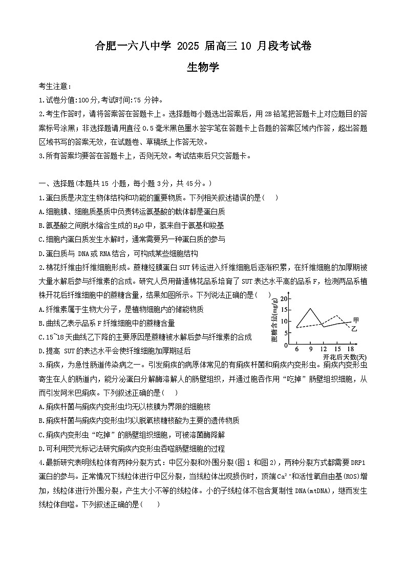 安徽省合肥市一六八中学2024—2025学年高三上学期10月月考生物试题第1页