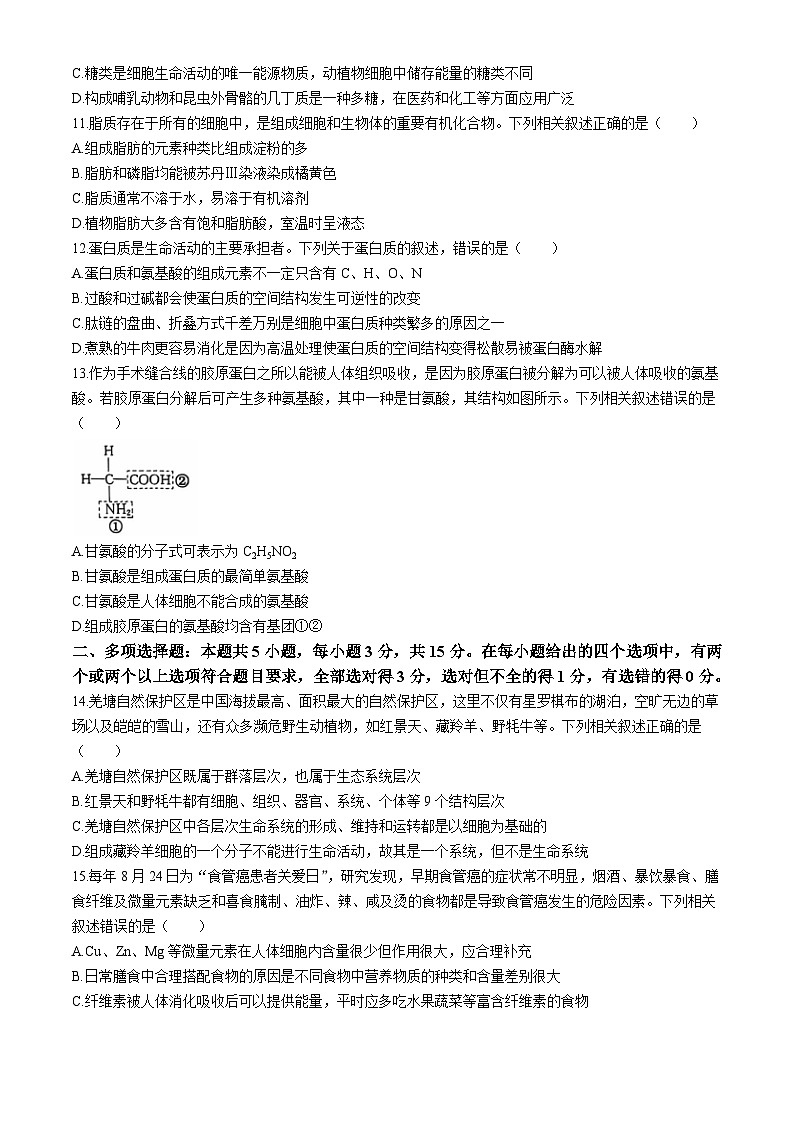 河北省沧州市海兴县沧州联盟校2024-2025学年高一上学期10月月考生物试题第3页