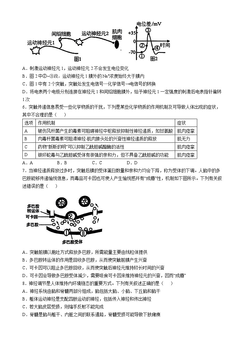 河南省驻马店市河南驻马店经济开发区2024-2025学年高二上学期10月月考生物试题(无答案)第2页