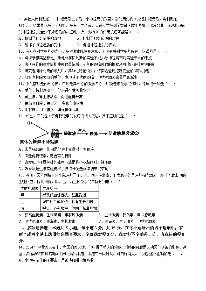 河南省驻马店市河南驻马店经济开发区2024-2025学年高二上学期10月月考生物试题(无答案)第3页