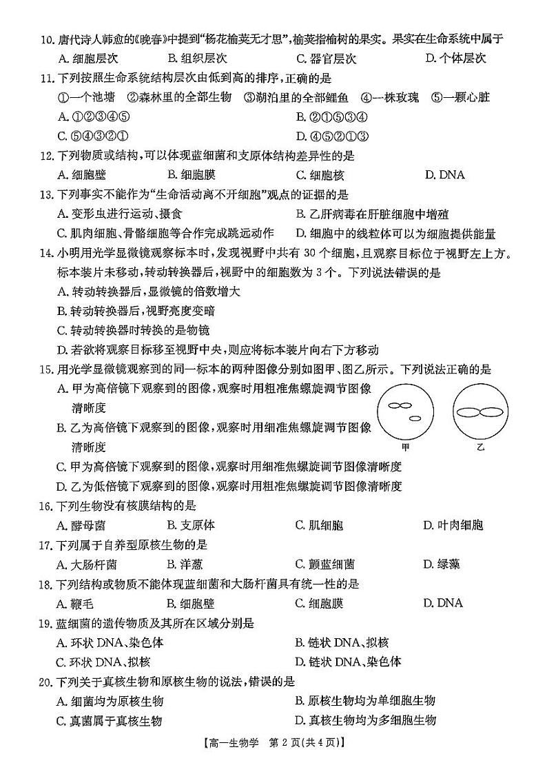 辽宁省凌源市2024-2025学年高一上学期10月月考生物卷第2页