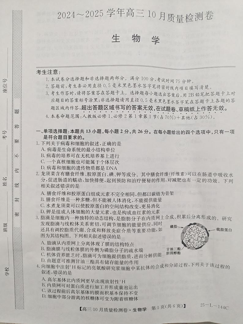 河北省邯郸市永年区第二中学等校2024-2025学年高三上学期10月月考生物试卷第1页
