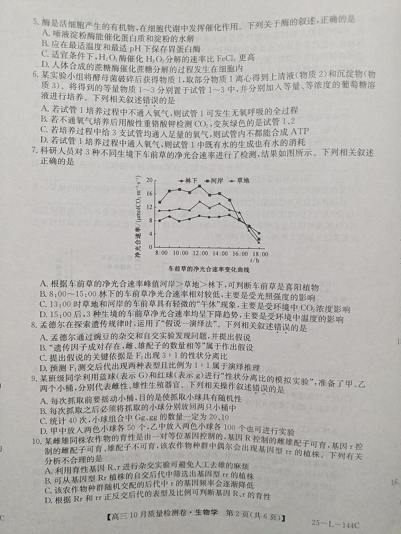 河北省邯郸市永年区第二中学等校2024-2025学年高三上学期10月月考生物试卷第2页