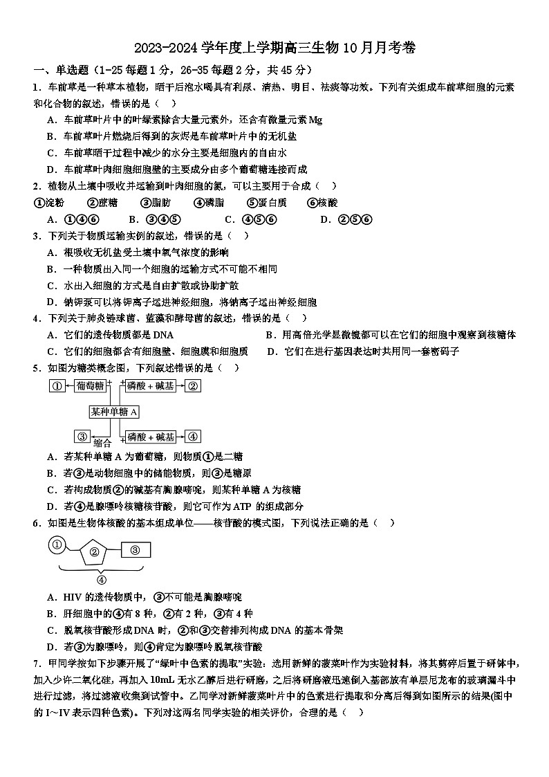 四川省内江市第一中学2023-2024学年高三上学期10月月考生物试题01