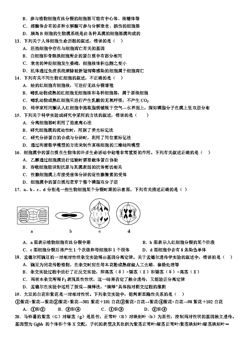 四川省内江市第一中学2023-2024学年高三上学期10月月考生物试题03