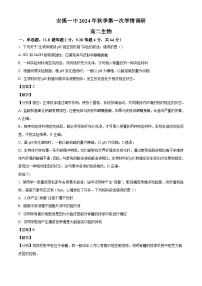 福建省泉州市安溪一中2024-2025学年高二上学期第一次月考生物题（解析版）