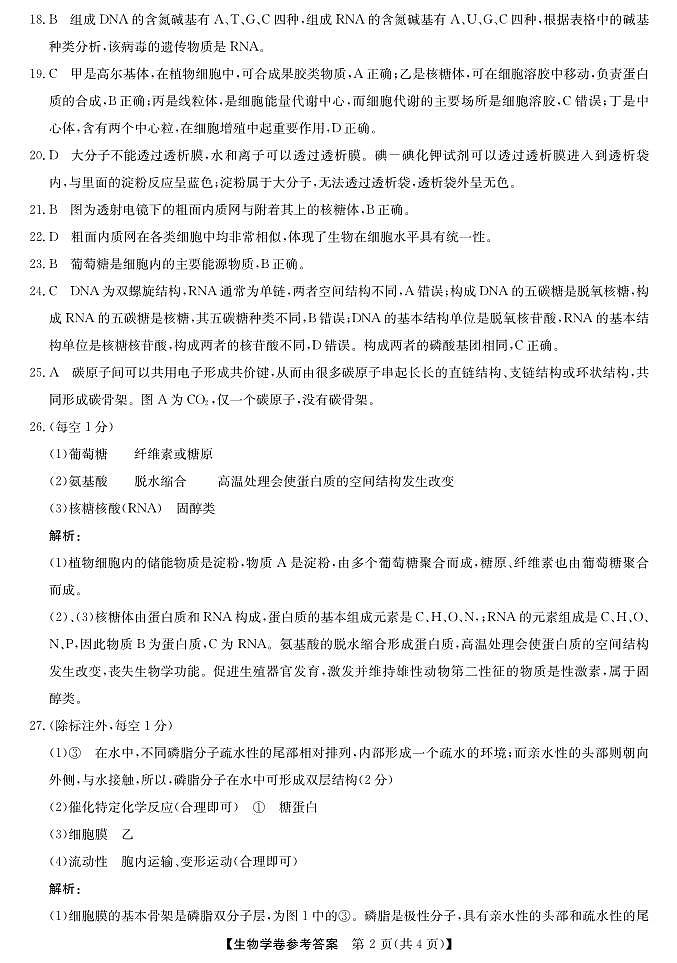 浙江省强基联盟2024-2025学年高一上学期10月联考生物试卷02