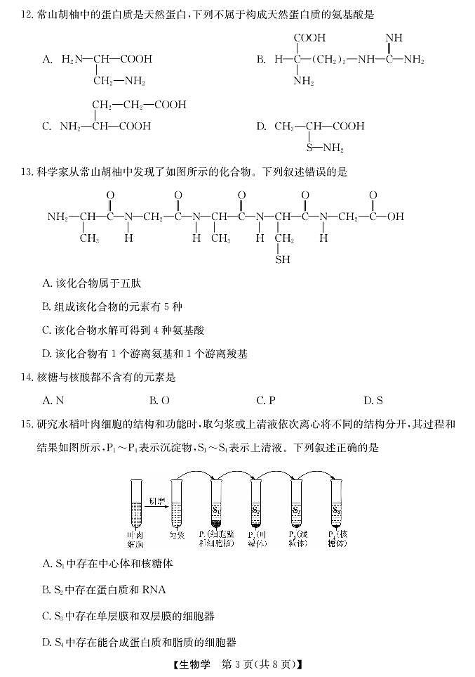 浙江省强基联盟2024-2025学年高一上学期10月联考生物试卷03
