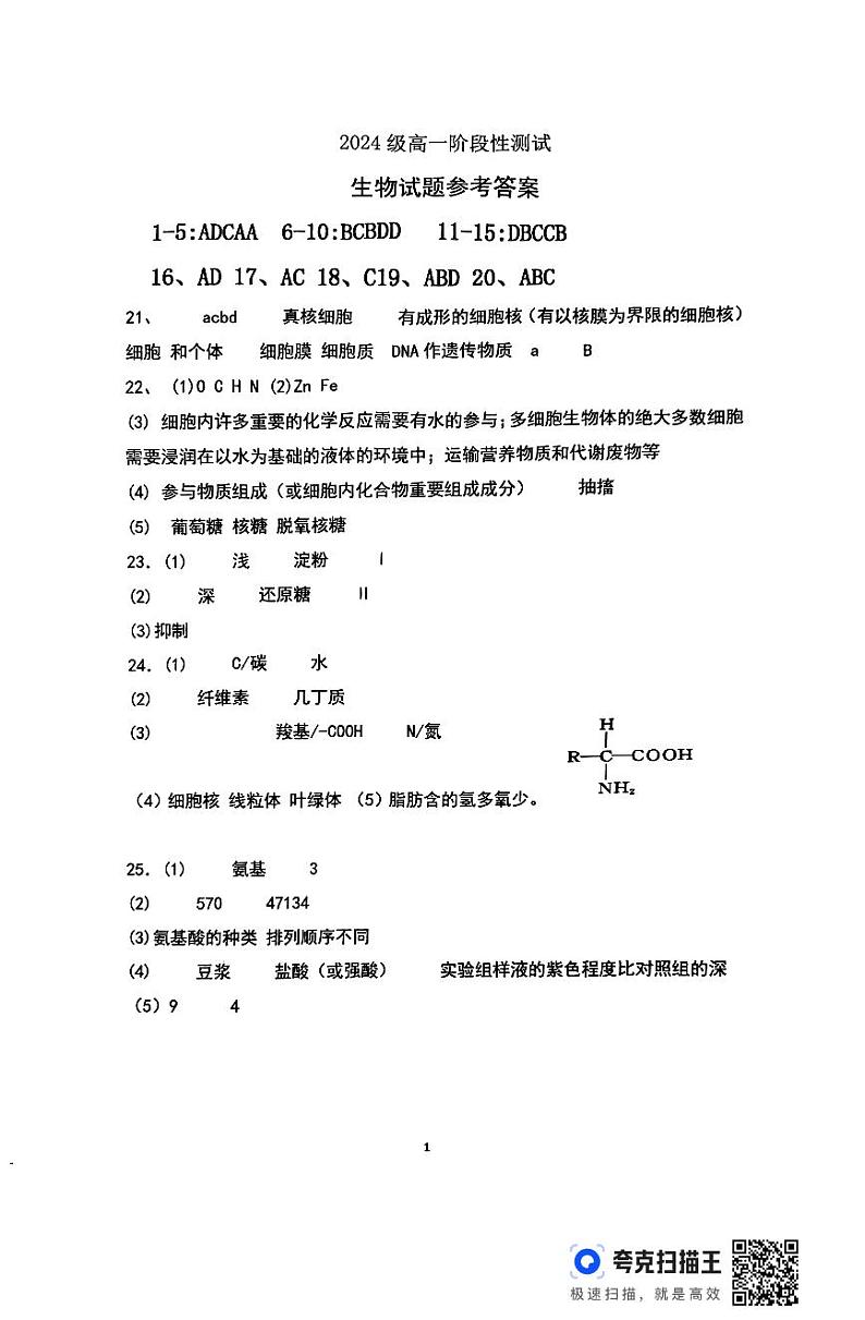 扫描件_2024级高一阶段性测试(2)(1)第1页